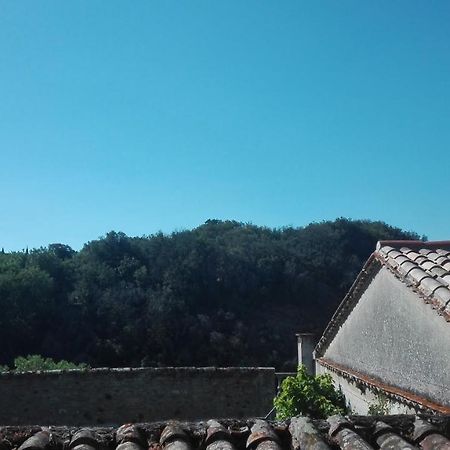 Maison Au Village Du Livre Montolieu Экстерьер фото